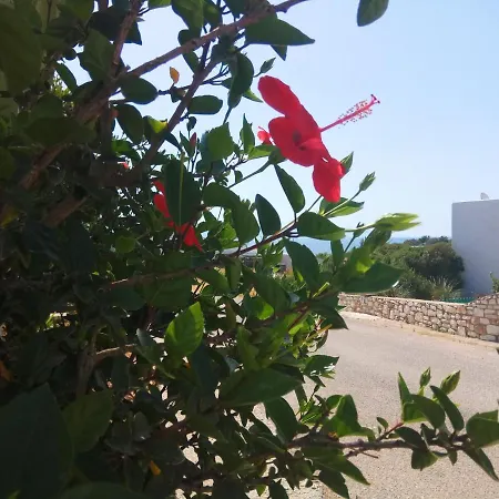 Nicos & Appartement *